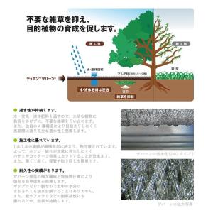 プランテックス防草シート(ザバーン)1mx50...の詳細画像2
