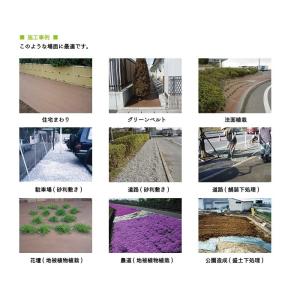 プランテックス防草シート(ザバーン)2mx50...の詳細画像5