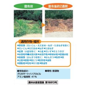 除草剤 グリホエキス200L 55968 / ...の詳細画像2