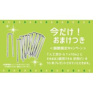 人工芝 ロール 1×10m 〔20mm丈〕 ■...の詳細画像4