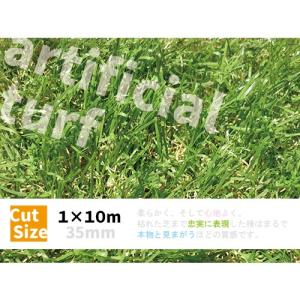 人工芝 ロール 1m×10m 〔35mm〕 ■今だけ芝ピンおまけつき！■ リアル 高級 高密度 芝 ガーデン ガーデンターフ 57224