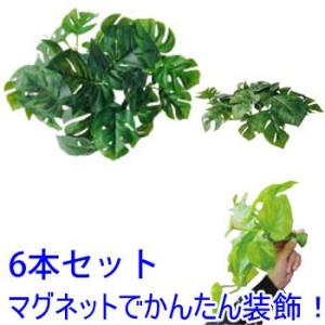 マグプランツ マグネット式人工観葉植物 ヒメモン...の商品画像
