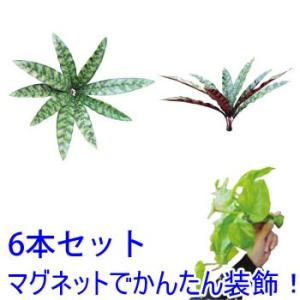 マグプランツ マグネット式人工観葉植物 カラテア・インシグニス 6本セット (BY-DCMP-010)｜ガーデンズ通販