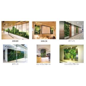 マグプランツ マグネット式人工観葉植物 カラテ...の詳細画像1