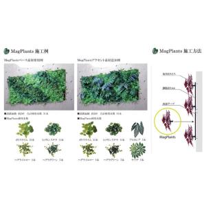 マグプランツ マグネット式人工観葉植物 カラテ...の詳細画像2