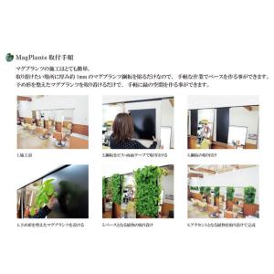 マグプランツ マグネット式人工観葉植物 カラテ...の詳細画像3