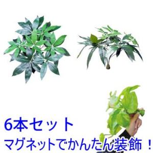 マグプランツ マグネット式人工観葉植物 パキラ 6本セット (BY-DCMP-011)｜ガーデンズ通販