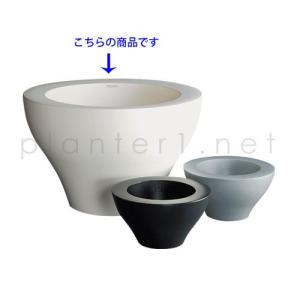 デザイナーズ・ミング・エクストラ・ラージ (PN...の商品画像