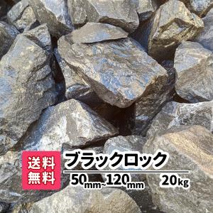 フィードワン 車えび育成用S 粒大2.0×5.0(mm)20kg メーカー直送 フィードワン 車えび育成用S 粒大2.0×5.0(mm)20kg メーカー直送