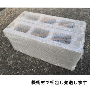コンクリートブロック サイズ ガーデニング ブ...の詳細画像3