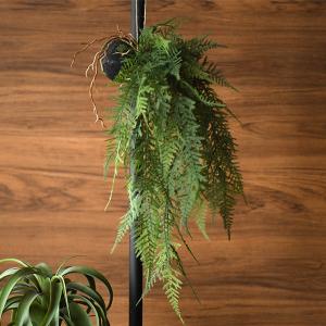 観葉植物 ハンギング 造花 リアル グリーン 壁...の商品画像