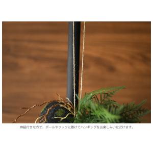 観葉植物 ハンギング 造花 リアル グリーン ...の詳細画像3