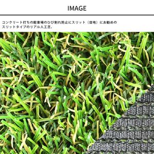 人工芝 リアル 高級人工芝 人工芝 高級 メモ...の詳細画像1