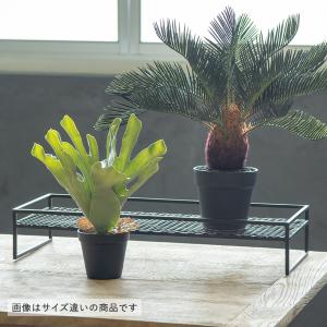 花台 屋外 おしゃれ アイアン シンプル プラ...の詳細画像2