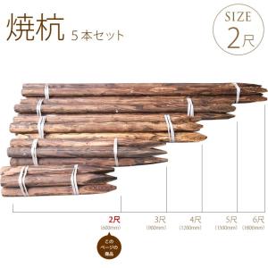 丸杭 焼 2尺(約60cm) 5本セット 支柱 竹垣 固定 造園 木杭　