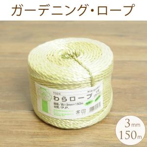 和風 ロープ 装飾 ガーデニング PPガーデニングロープ（1分）