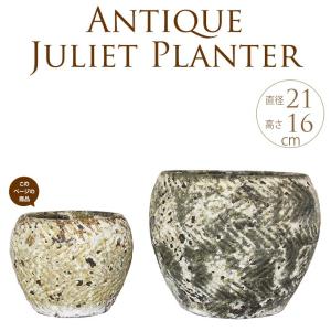 植木鉢【禄巳斉春松】手作り切立長角盆栽鉢(イブシ）13号 : ヤマコー