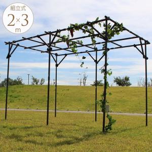 ブドウ棚 組み立て式の商品一覧 通販 Yahoo ショッピング