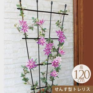 ガーデニング 家庭 菜園 庭 ベランダ 簡単 設置 組立