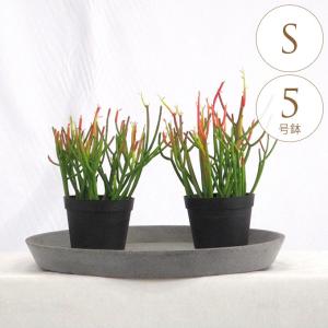 フェイクグリーン 鉢植え 大きい 観葉植物 鉢 アーバンスタイル