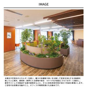 フェイクグリーン 鉢植え 大きい 観葉植物 鉢...の詳細画像1