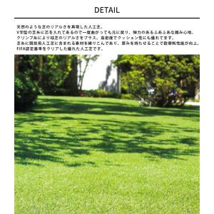 人工芝 リアル 高級人工芝 人工芝 高級 メモ...の詳細画像1