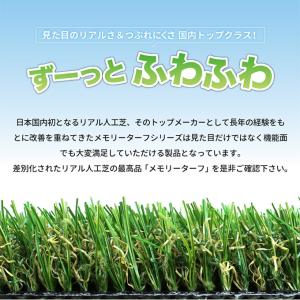人工芝 リアル 高級人工芝 人工芝 高級 メモ...の詳細画像3