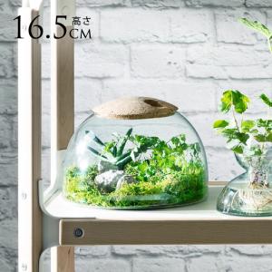透明 ガラス おしゃれ シンプル LSA International フラワーベース