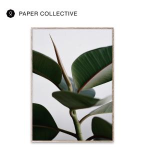 PAPER COLLECTIVE Green Home 02 ポスター 50×70cm ペーパーコレクティブ 北欧 デンマーク コペンハーゲン アート ウォールデコレーション おしゃれ｜gardiner