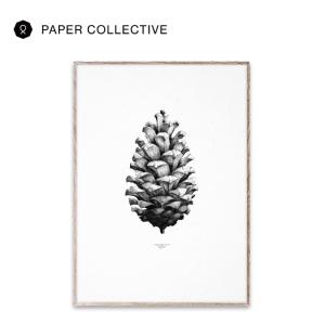 PAPER COLLECTIVE Pine Cone - White ポスター 50×70cm ペーパーコレクティブ 北欧 デンマーク コペンハーゲン アート ウォールデコレーション おしゃれ｜gardiner