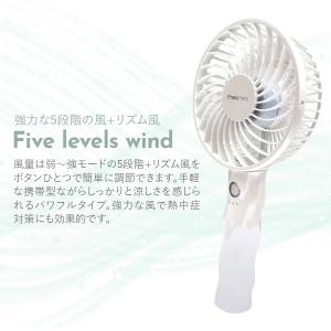 2026年モデル フランフラン フレ ハンディ...の詳細画像2