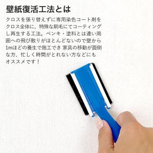 壁紙マジック 5kg+道具セット 壁紙 塗装 ...の詳細画像1