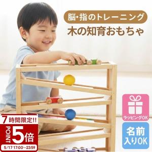 ニック社 nic NICスロープ ニックスロープ 木のおもちゃ スロープ : 木