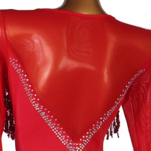Garuda SHOP レディース社交ダンス衣...の詳細画像4
