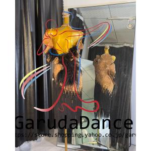 Garuda SHOP 社交ダンス高級衣装 セ...の詳細画像1