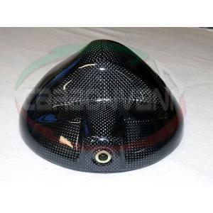 モンスター：フロントフェンダー 620/800/1000DS/S2R/S4/S4Rカーボン製