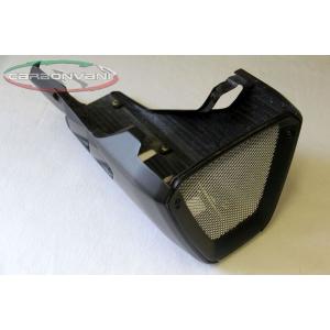 574 SPEEDCARBON メーターパネル DUCATI 916/996/998/748 : GARUDA