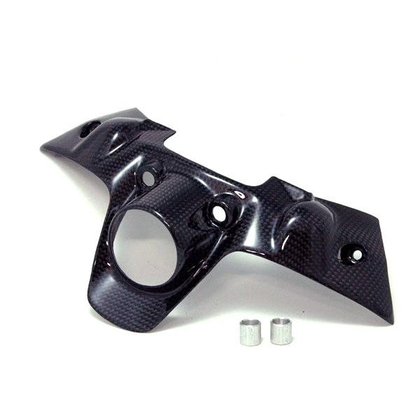 #500 SPEEDCARBON キープロテクター Panigale DUCATI 1299/119...