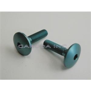M6X10：L.L.S カウルキャプボルト