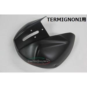 PANIGALE 1199 / タンクカバー ULL B カーボン製・CARBONVANI(カーボン