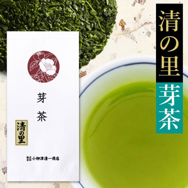 お茶 緑茶 静岡茶 深蒸し茶 静岡 芽茶 清の里 100g 国産 茶葉 健康 茶 水出し緑茶 日本茶...