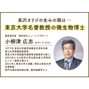 長沢オリゴ フラクトオリゴ糖 260g 2個 ...の詳細画像4