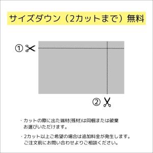 パンチングパネル エンビ板 990mm×490...の詳細画像1