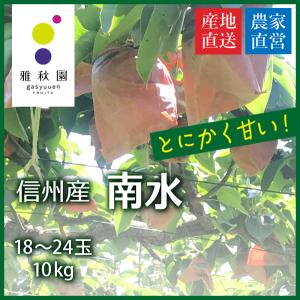 南水１０Kg