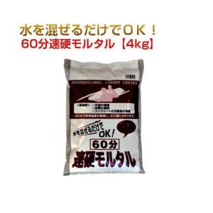 60分速硬モルタル 1ケース (4kg×5袋)   (5箱セット) ワークセレクトシリーズ マツモト産業｜gaten-ichiba