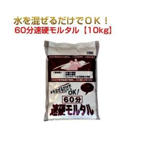 60分速硬モルタル 10kg  (5袋セット) ワークセレクトシリーズ マツモト産業｜gaten-ichiba