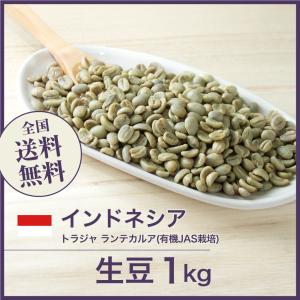 DRIP TRIP 生豆 インドネシア ロブスタ AP-1 コーヒー 珈琲 1kg 2kg