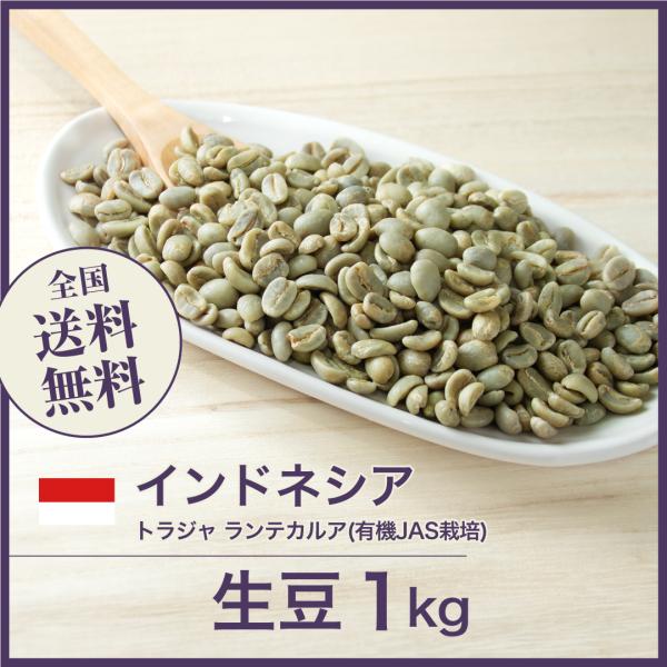 生豆 コーヒー 1kg トラジャ ランテカルア(有機JAS栽培) [2022年クロップ]インドネシア...