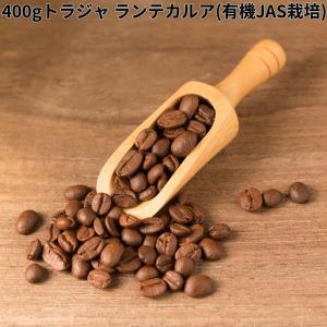 コーヒー豆 受注焙煎！400g トラジャ ランテカルア(有機JAS栽培) [22年クロップ]インドネシア [選べる焙煎度合い] コーヒー豆 送料無料 大山珈琲｜自家焙煎コーヒー豆と石窯パン専門店ガウディ