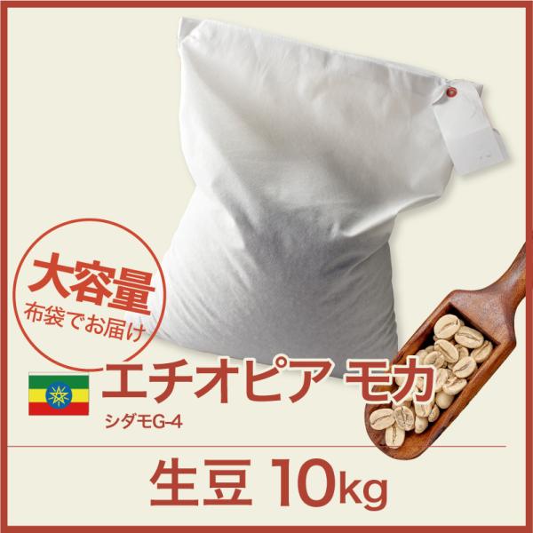 生豆 コーヒー 10kg モカ シダモG-4 エチオピア 送料無料 大山珈琲